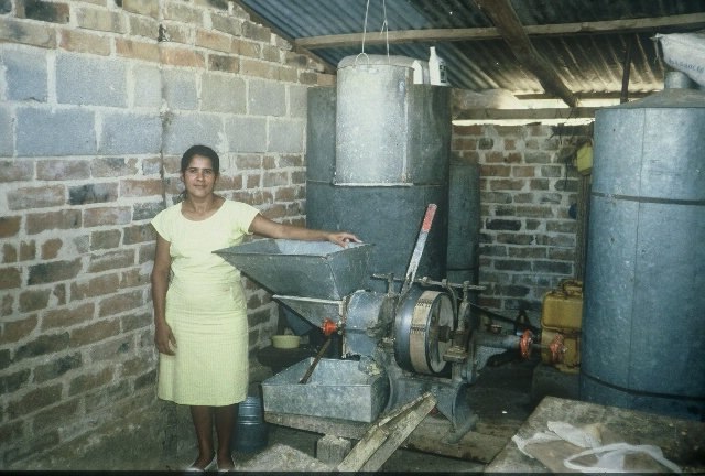 tortilla production Honduras